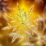 Familiengottesdienst 1, Dezember 2020