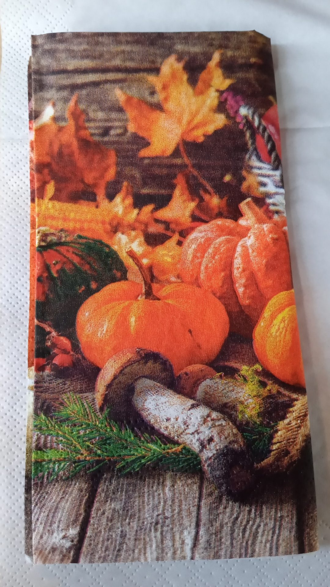 20251104_di_frauen_lesung_21