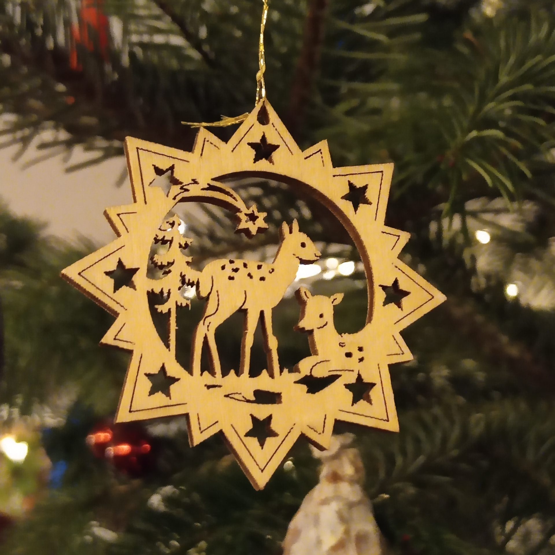 20251201_lak_ki_chor_05